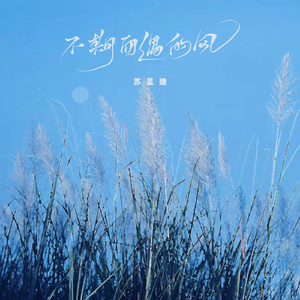 国产一区二区三区无码
