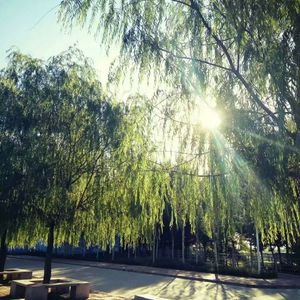 国产一区二区三区无码
